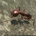 Ant Simulation 3D