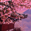 sakura garden live wallpaper