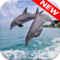 Dolphin Wallpapers