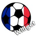Widget Ligue 1