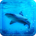 Tiburón azul live wallpaper