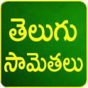 Telugu Samethalu (Telugu)