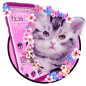 Cute Pink Floral Cat Theme