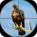Desert Birds Sniper Shooter
