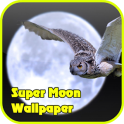 Super Moon Wallpaper