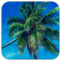Tile Puzzles · Palm Trees