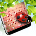 Cute Ladybug Keyboard