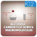 Alcohols & Carboxylic Acids