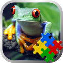 Jigsaw Puzzle - Rainforests