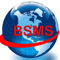 BSMS Formal Manpower Supply