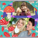 Mushrooms Photo Collage