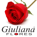 GiulianaFlores