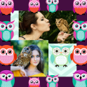 Owls Photo Collage Editor