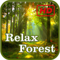 Relax Forest