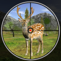 Forest Deer Hunting Season