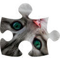 Cats puzzle (jigsaw)