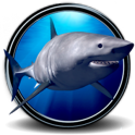 Great White Shark Real 3D