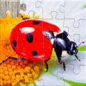 Insect Jigsaw Puzzles Game - For Kids & Adults