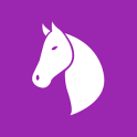 Horse Racing News, Videos, & Social Media
