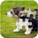 Puppy Puzzles