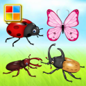 Insects Cards (Learn Languages)