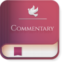 Bible Commentary Verse by Verse Offline