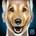 What are you dog face id scanner prank