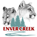 Enver Creek 2 Go