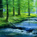 Nature Forest River LWP