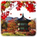Autumn leaves in pagoda
