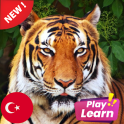 Learn Animals in Turkish: Picture Quiz Play Game