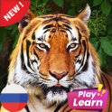 Learn Animal Names in Russian: Photo Quiz Game