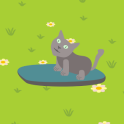 Hoverboard Cat