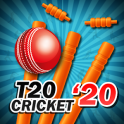 T20 Cricket 2020