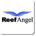 Reef Angel Status