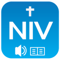 NIV Audio Bible: book