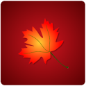 Maple Leaf Live WallPaper