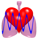 Cardio Respiratory Monitor Pro