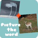 Picture the word! 2pics1word