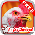 Angry Chicken Free!