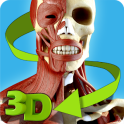 簡単な解剖学 3D