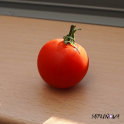 Tomato LiveWallpaper