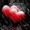 Rain On Red Hearts Live Wallpa