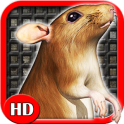 Sewer Rat Run 3D HD