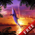 Dolphin Sunrise Trial