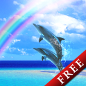 Dolphin Rainbow Trial