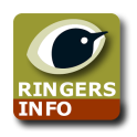 BTO Ringers Info