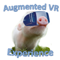 Augmented VR Erfahrungen