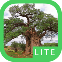 eTrees of Southern Africa Lite