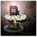 Lord Shiva Lingam By TM